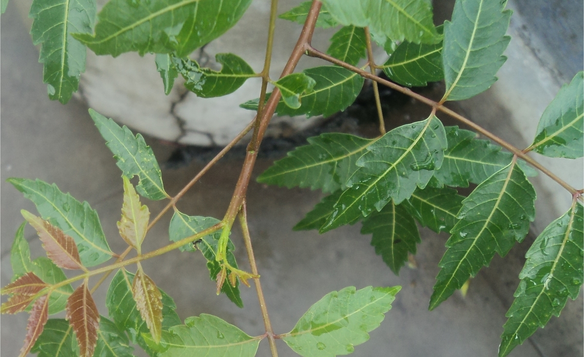 f:id:BeautyTrend:20190704202510j:plain