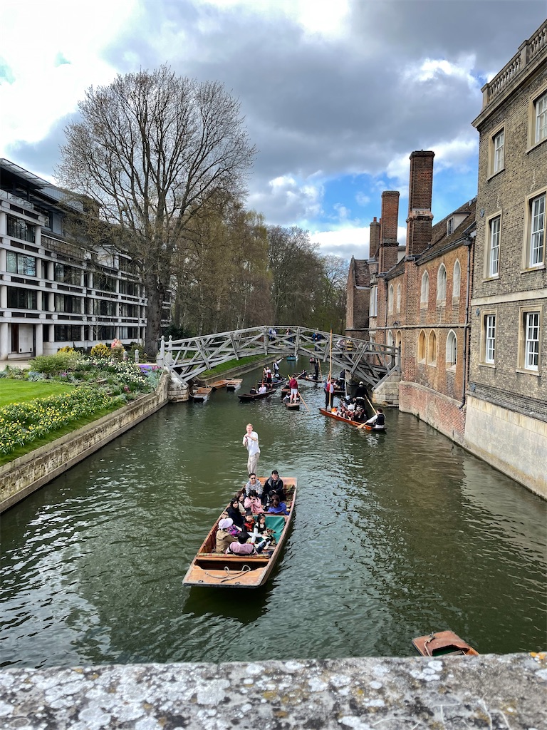 ケム川と牛の群れ 2度目のイギリス生活