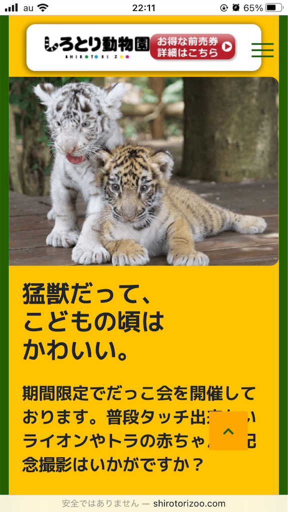 f:id:BeeBearPapa:20220309221152p:image
