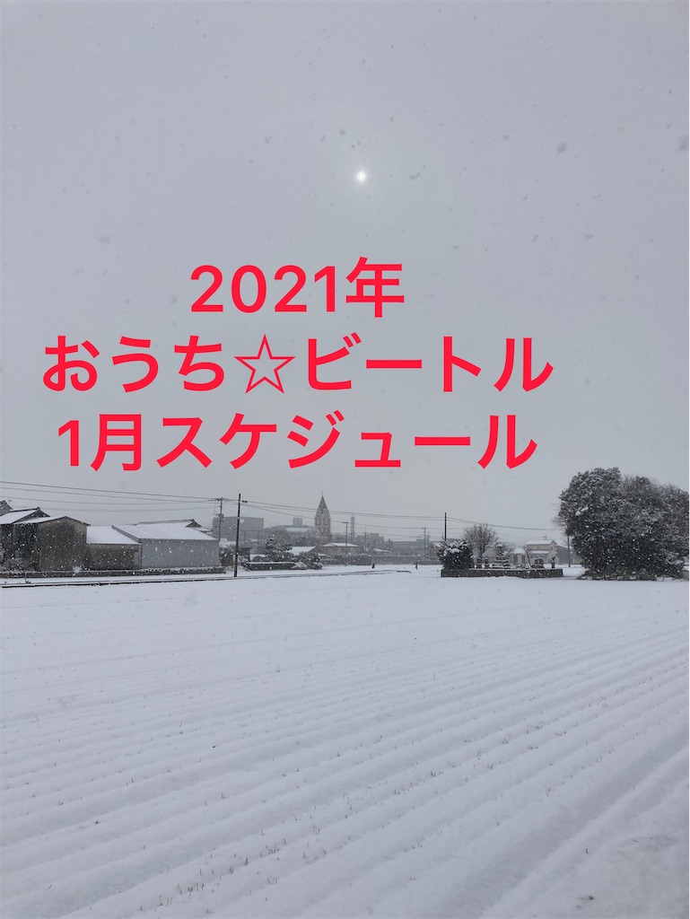f:id:Beeeeetle:20210108103351j:plain