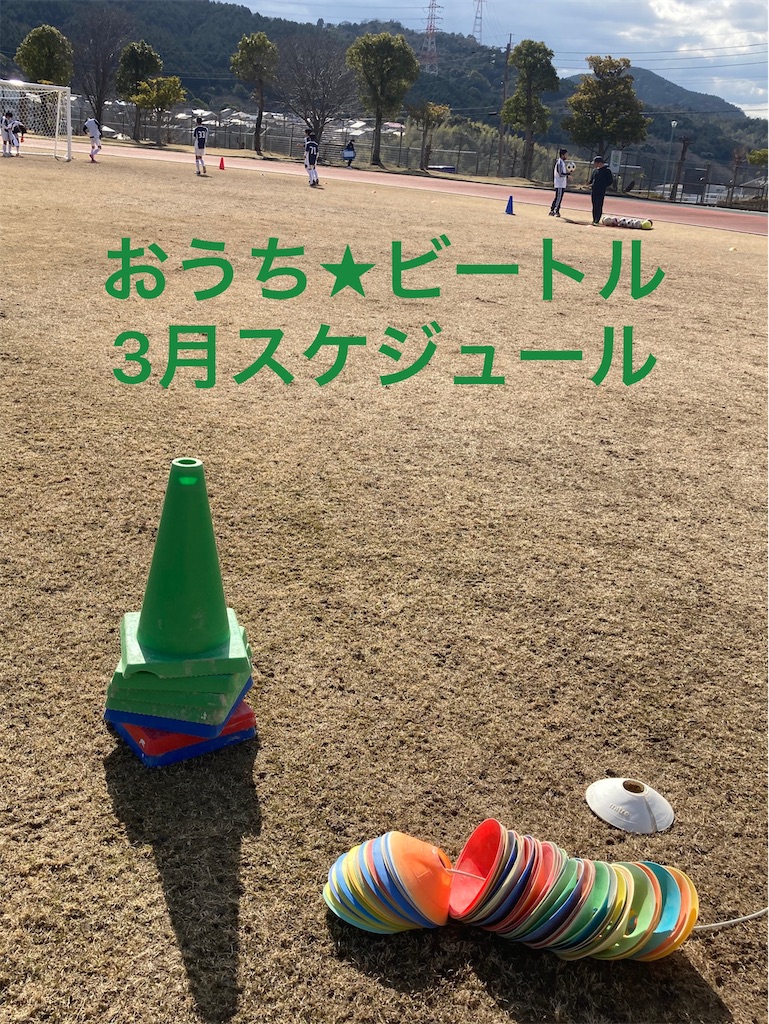 f:id:Beeeeetle:20210306191954j:plain