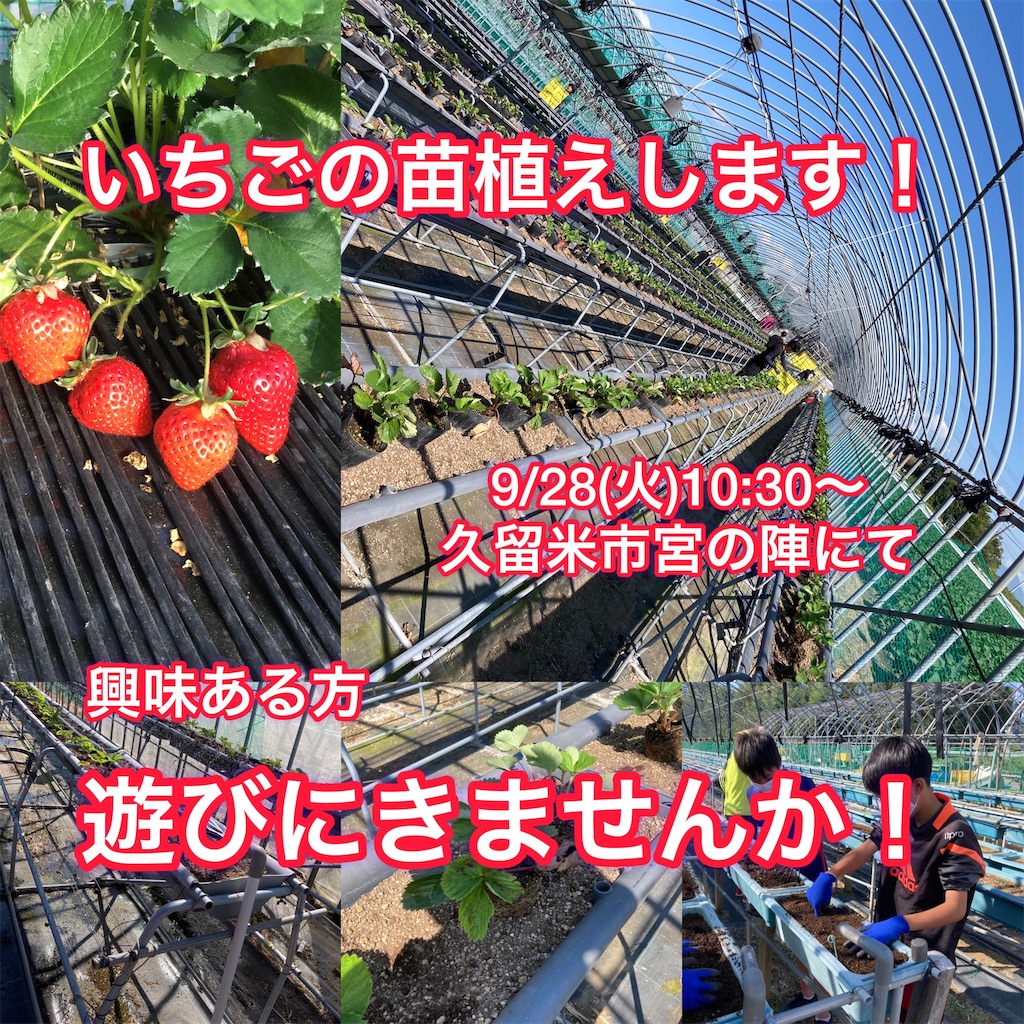 f:id:Beeeeetle:20210924125605j:plain