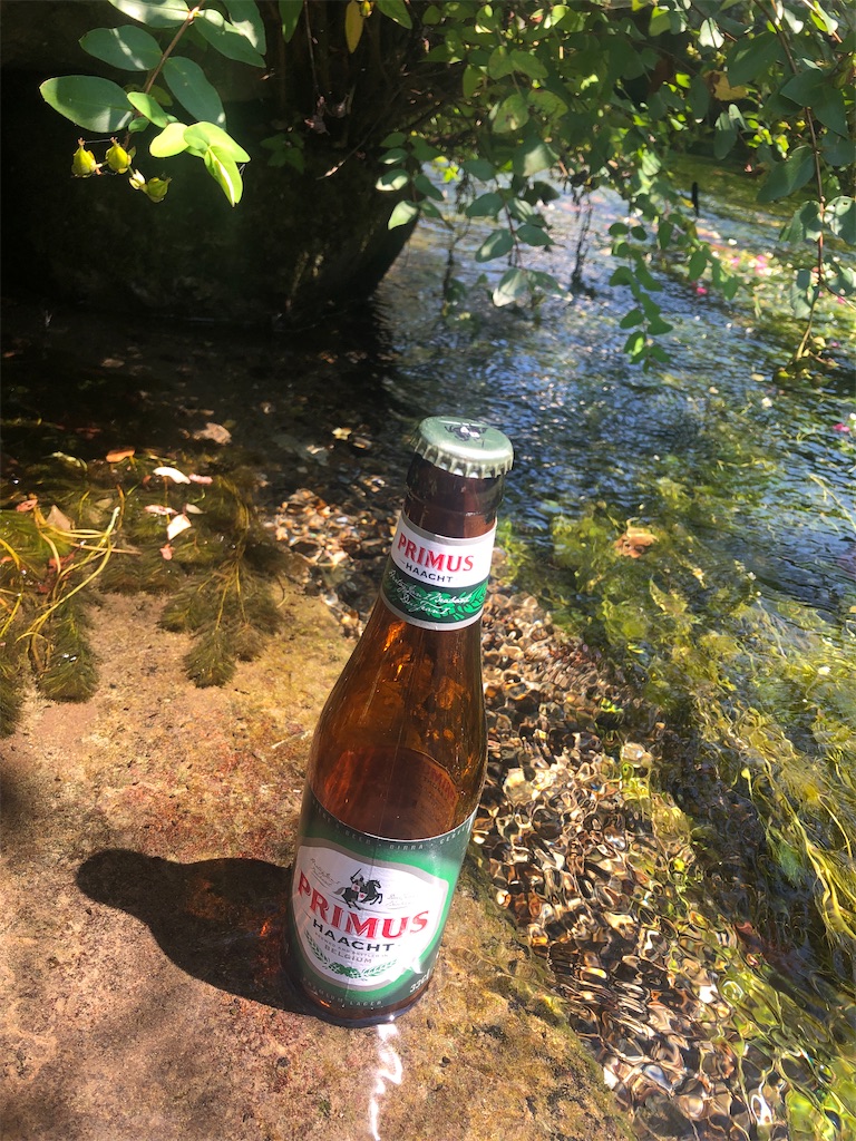 f:id:Belgianbeer:20200831203333j:image