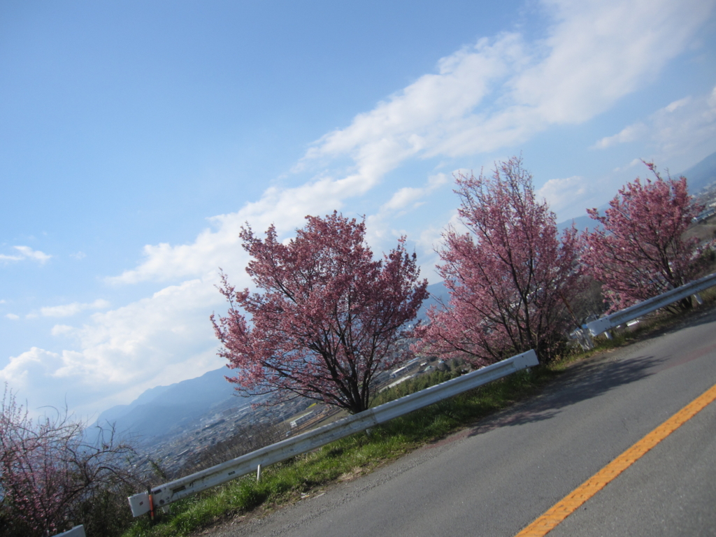 f:id:Bellus:20170312221431j:plain