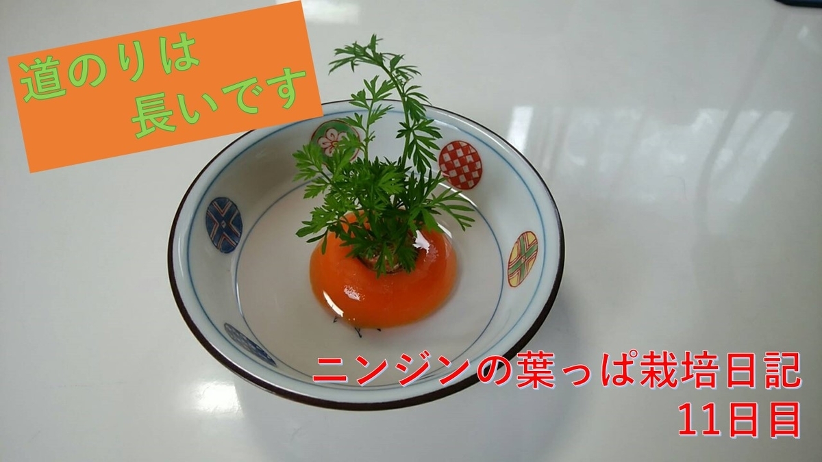 f:id:Benia:20200722185128j:plain