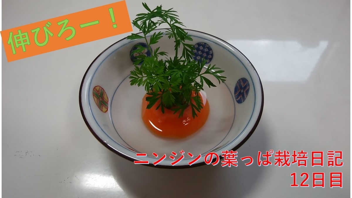 f:id:Benia:20200724173642j:plain