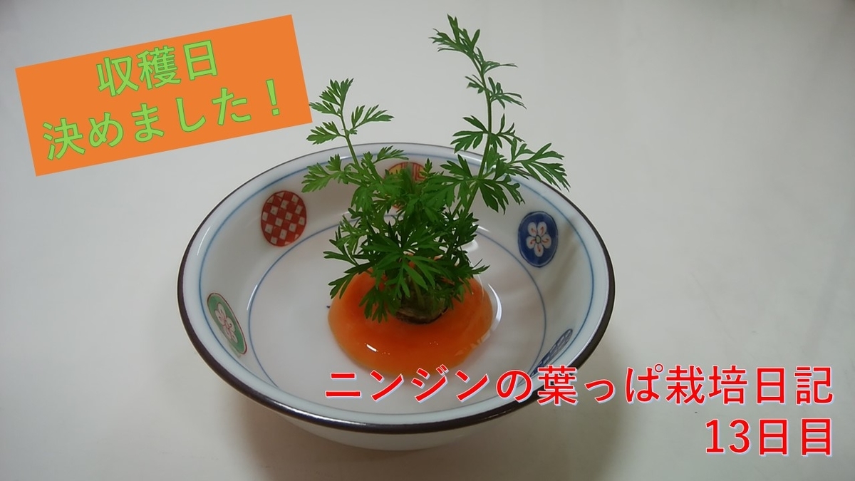 f:id:Benia:20200724174026j:plain
