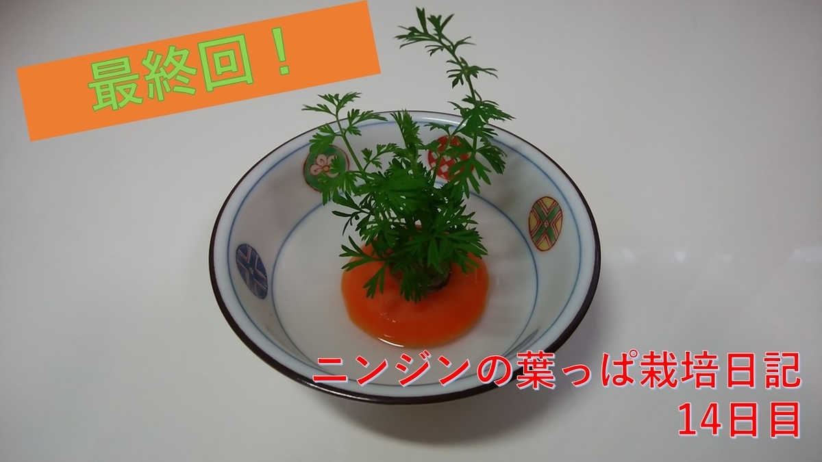 f:id:Benia:20200725105210j:plain