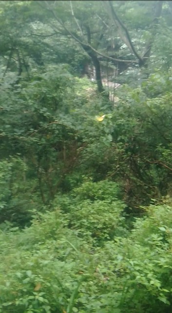 f:id:Bepper:20190728202443j:image