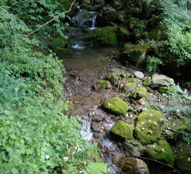 f:id:Bepper:20190728202800j:image