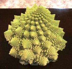 カリフラワー　ロマネスコ