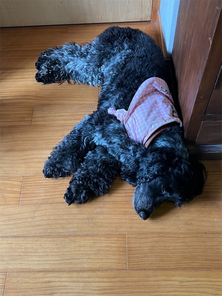 f:id:Beth-mama08092017:20250706000104j:image