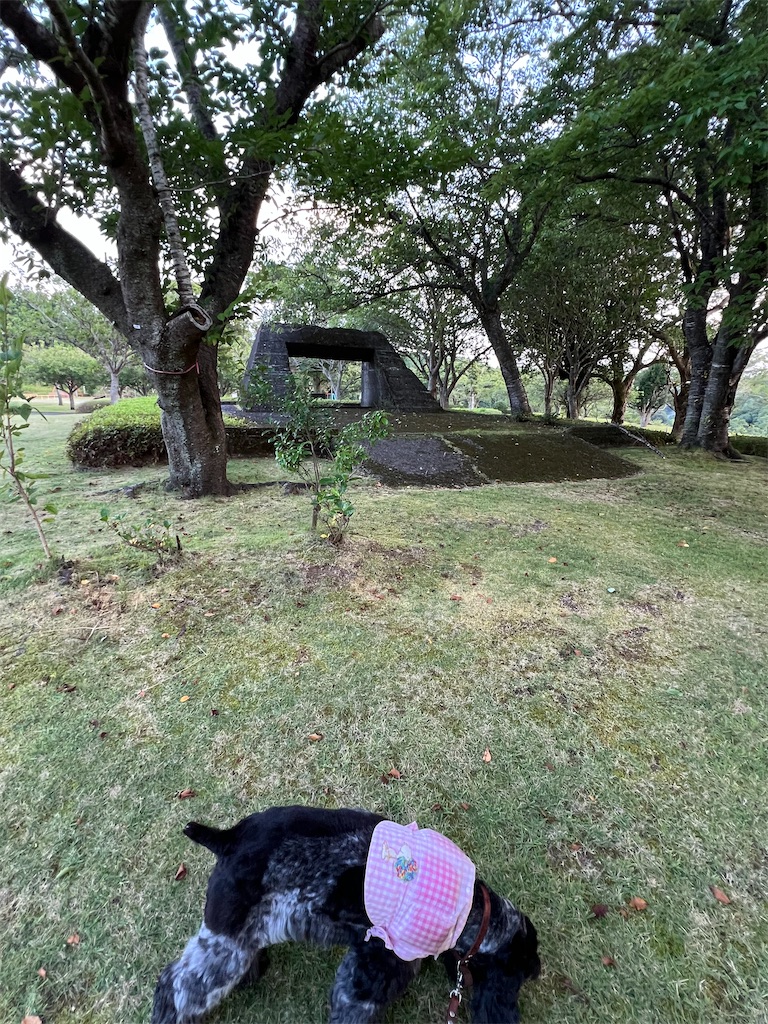 f:id:Beth-mama08092017:20250709225223j:image