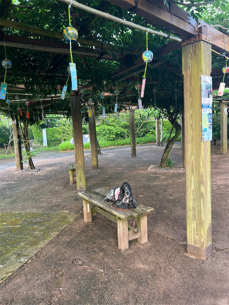 f:id:Beth-mama08092017:20250715235037j:image