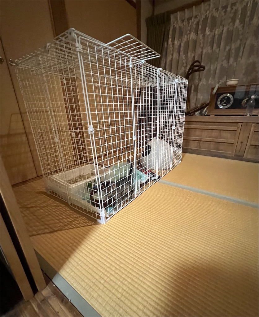 f:id:Beth-mama08092017:20251021220500j:image