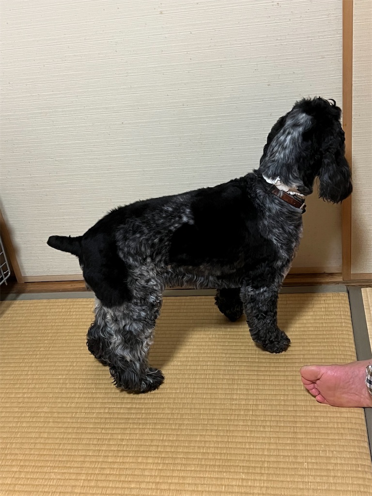 f:id:Beth-mama08092017:20251021220648j:image