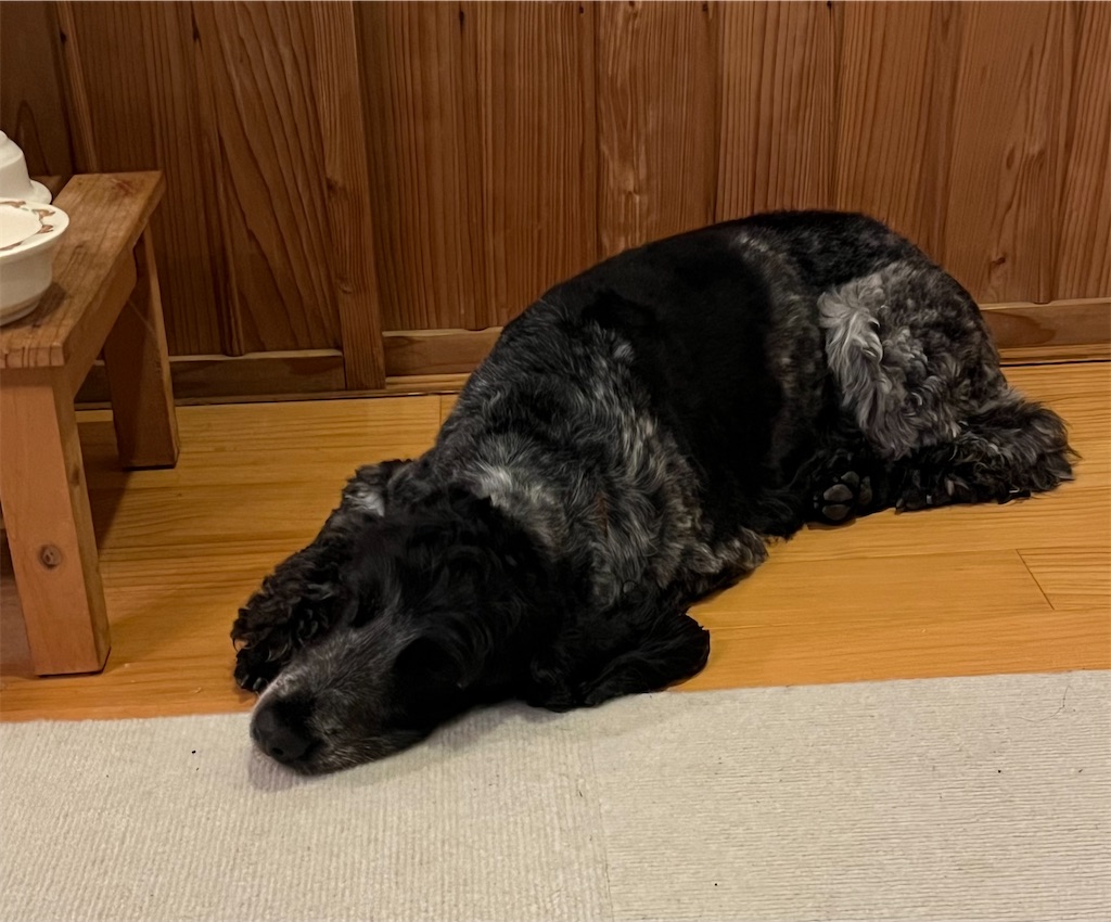 f:id:Beth-mama08092017:20251021220820j:image