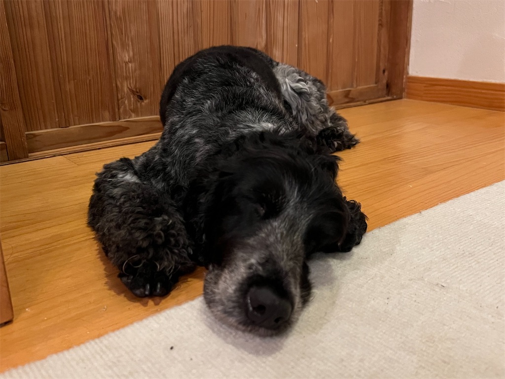 f:id:Beth-mama08092017:20251021220856j:image