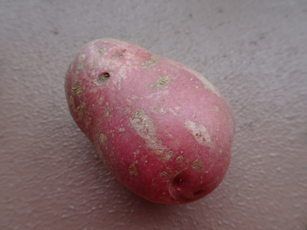 f:id:Betty0918:20181008195525j:plain f:id:Betty0918:20181008195525j:plain