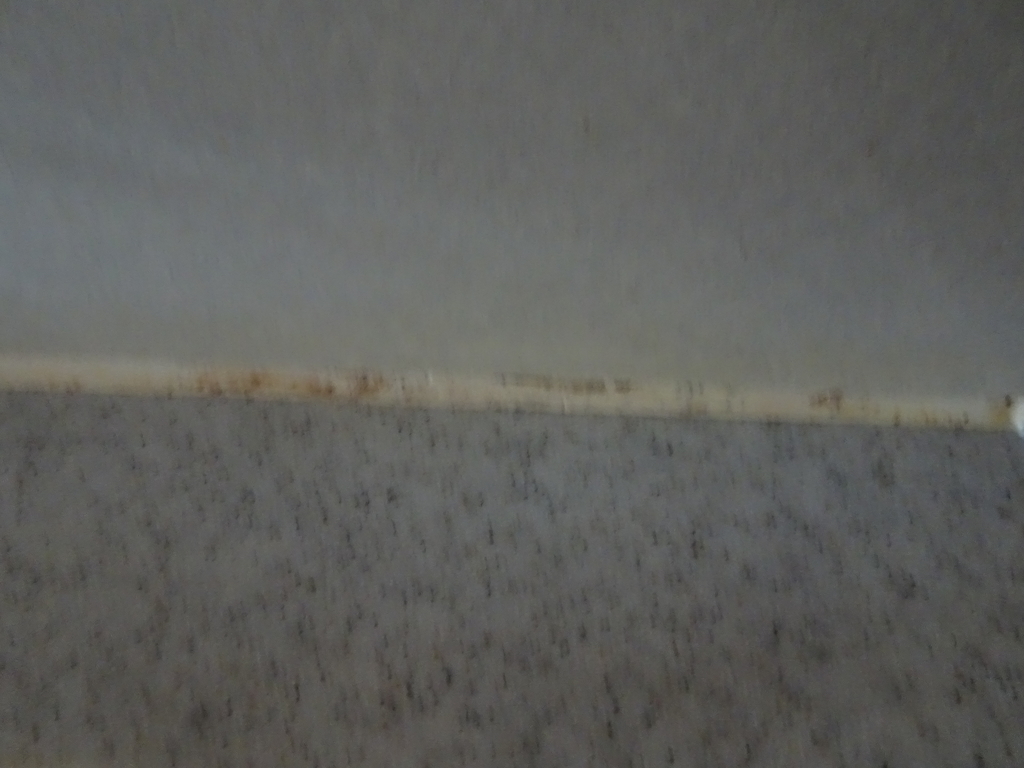 f:id:Betty0918:20181018181305j:plain