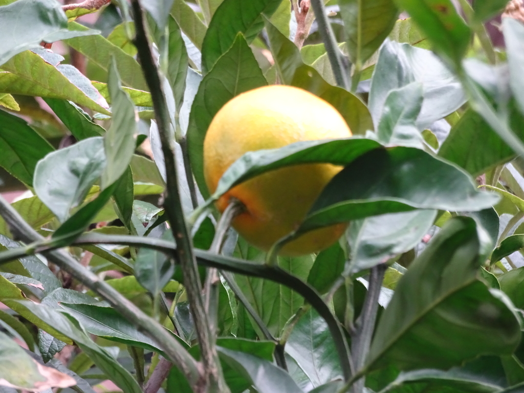 f:id:Betty0918:20181105211919j:plain