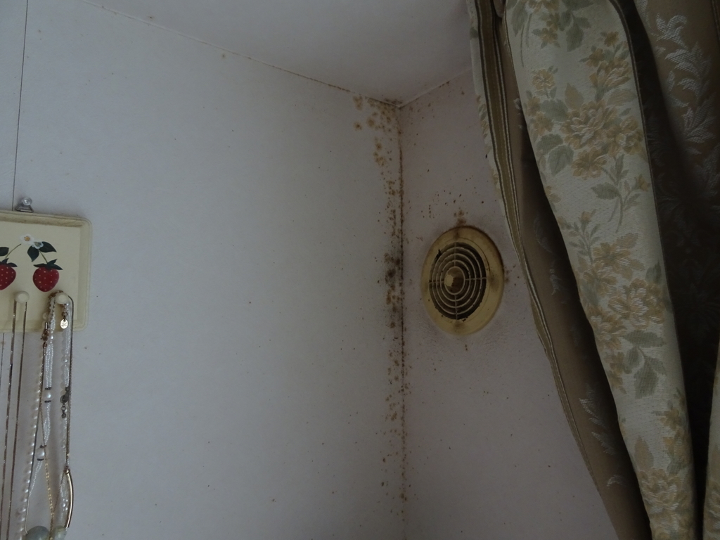 f:id:Betty0918:20181122165540j:plain