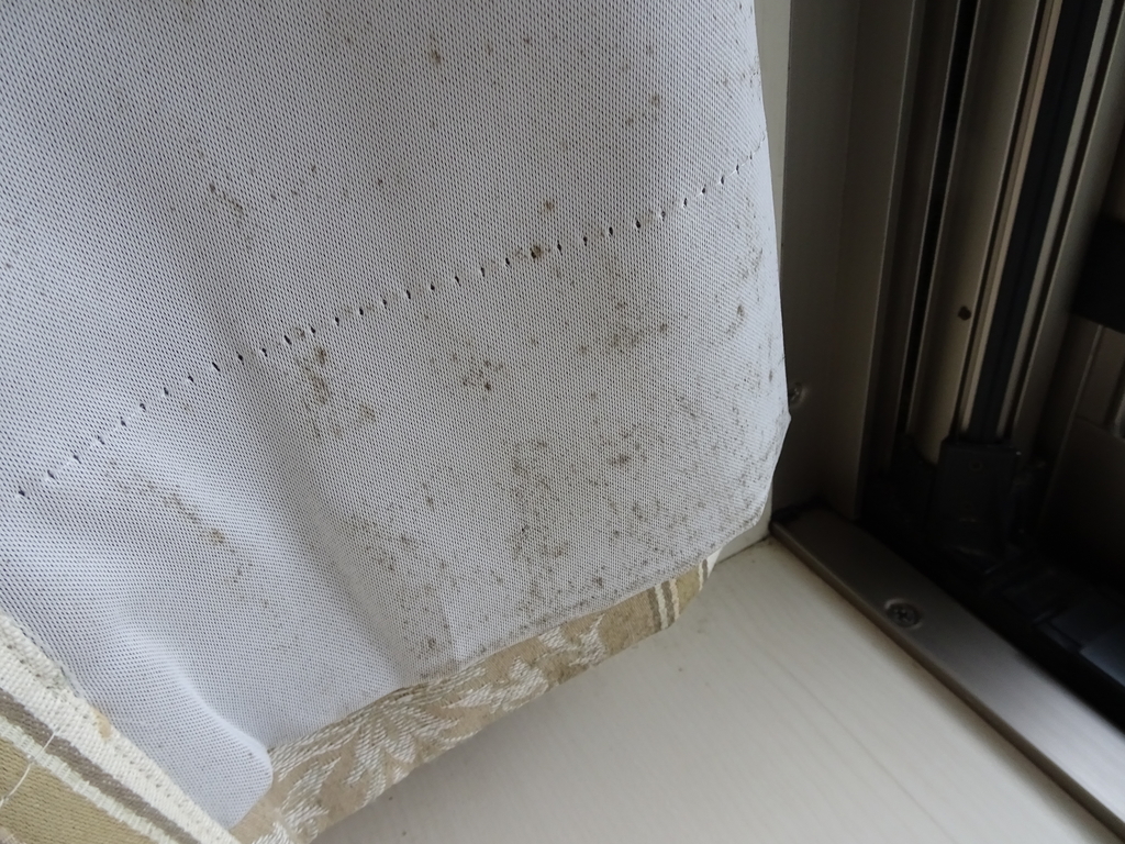 f:id:Betty0918:20181122165716j:plain