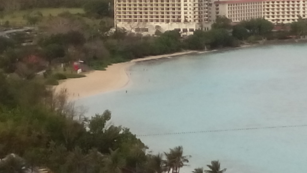 f:id:Betty0918:20190119144640j:plain f:id:Betty0918:20190119144640j:plain