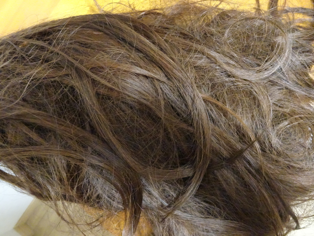 f:id:Betty0918:20190122190331j:plain f:id:Betty0918:20190122190331j:plain