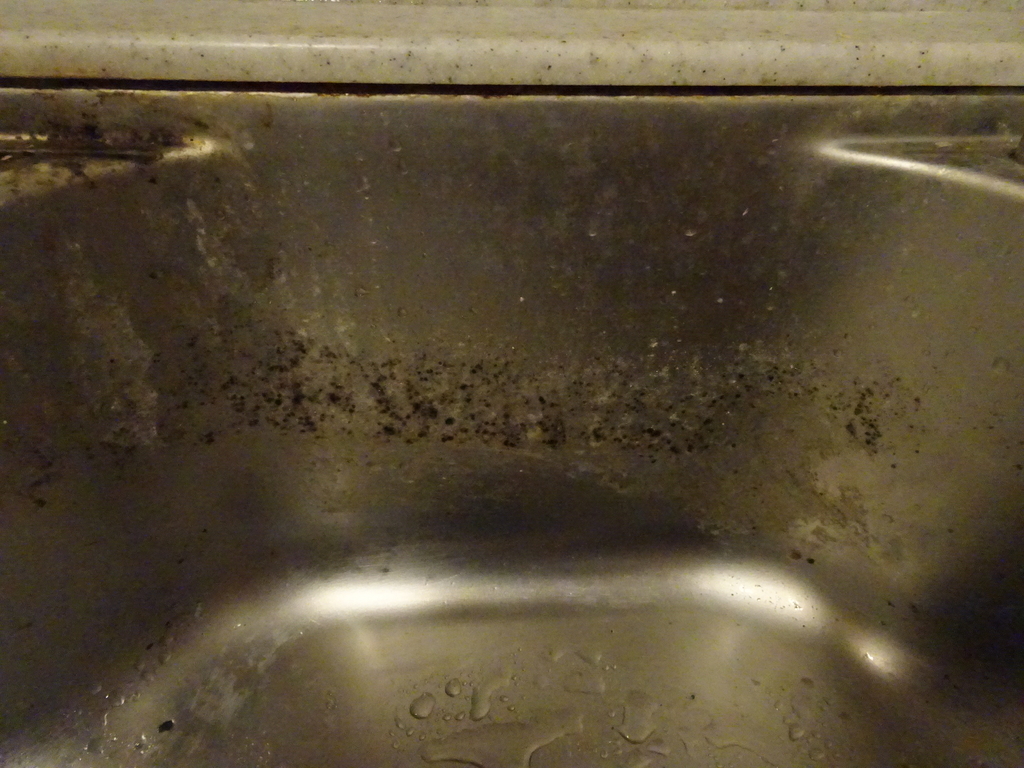 f:id:Betty0918:20190214170441j:plain