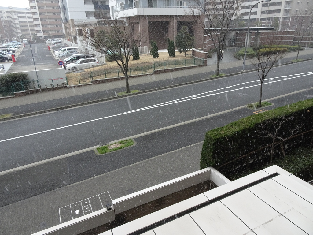 f:id:Betty0918:20190215153942j:plain