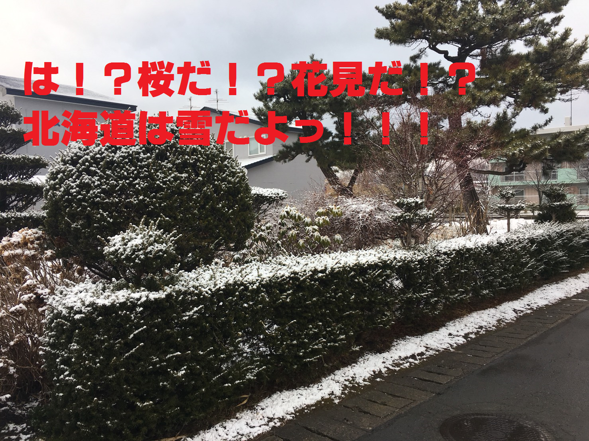 f:id:Betty0918:20190403172419p:plain