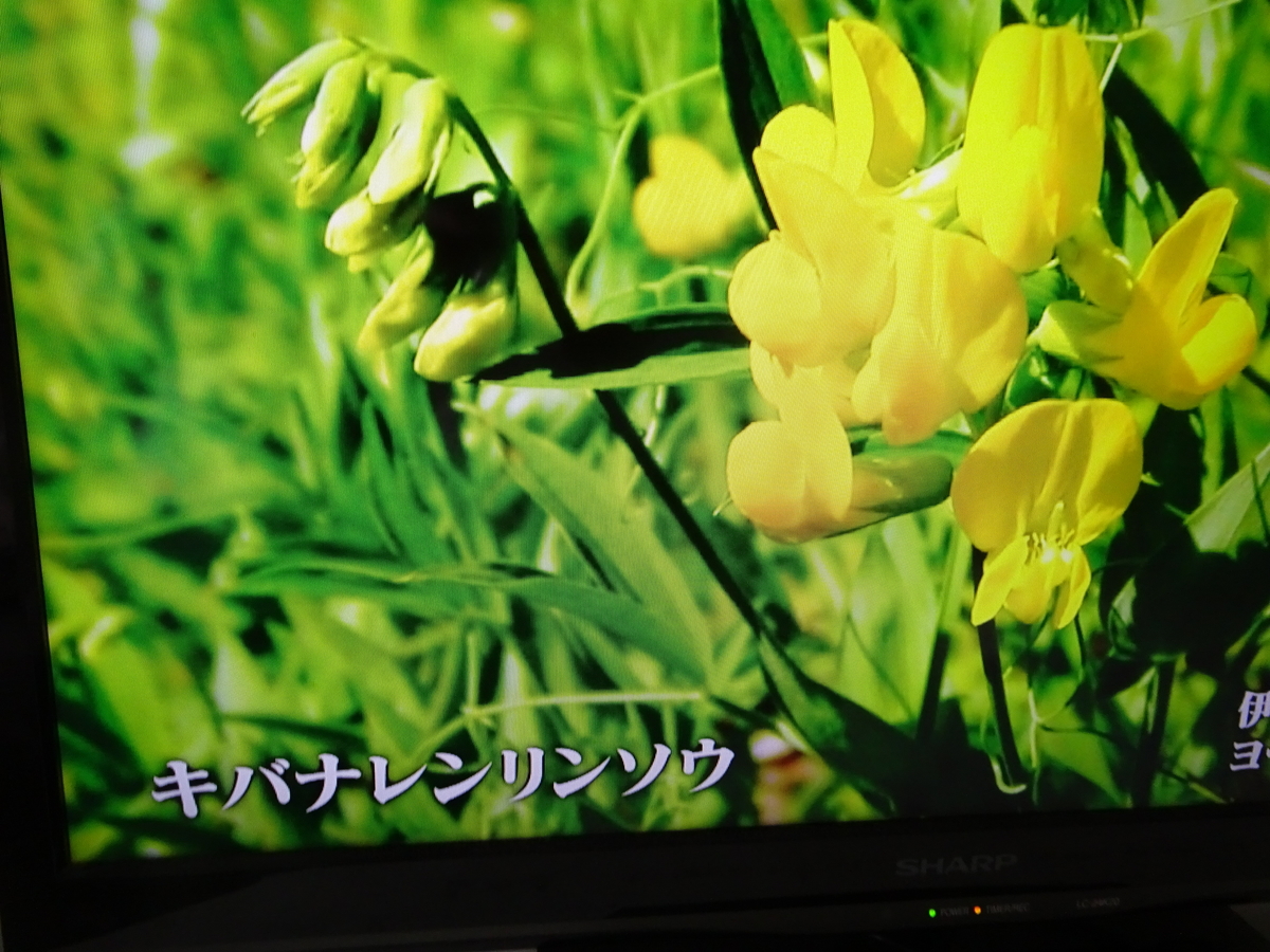 f:id:Betty0918:20190427170905j:plain f:id:Betty0918:20190427170905j:plain