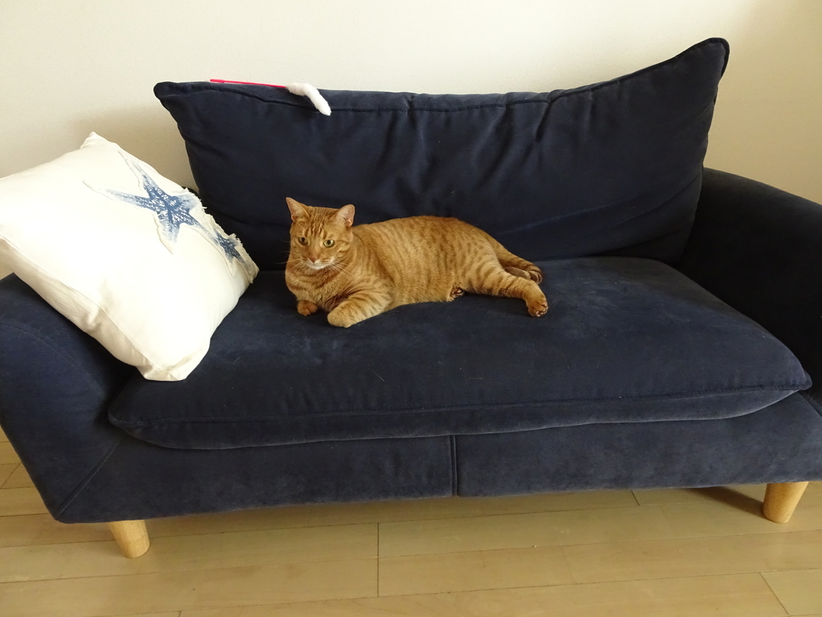 f:id:Betty0918:20190429184953j:plain