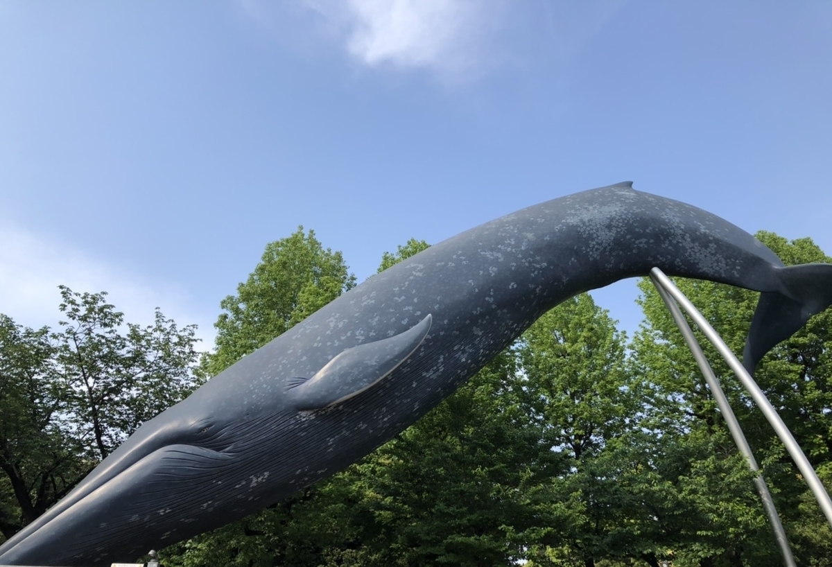 f:id:Betty0918:20190513202904j:plain