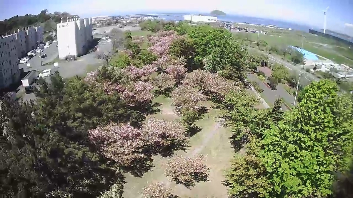 f:id:Betty0918:20190526192942j:plain f:id:Betty0918:20190526192942j:plain