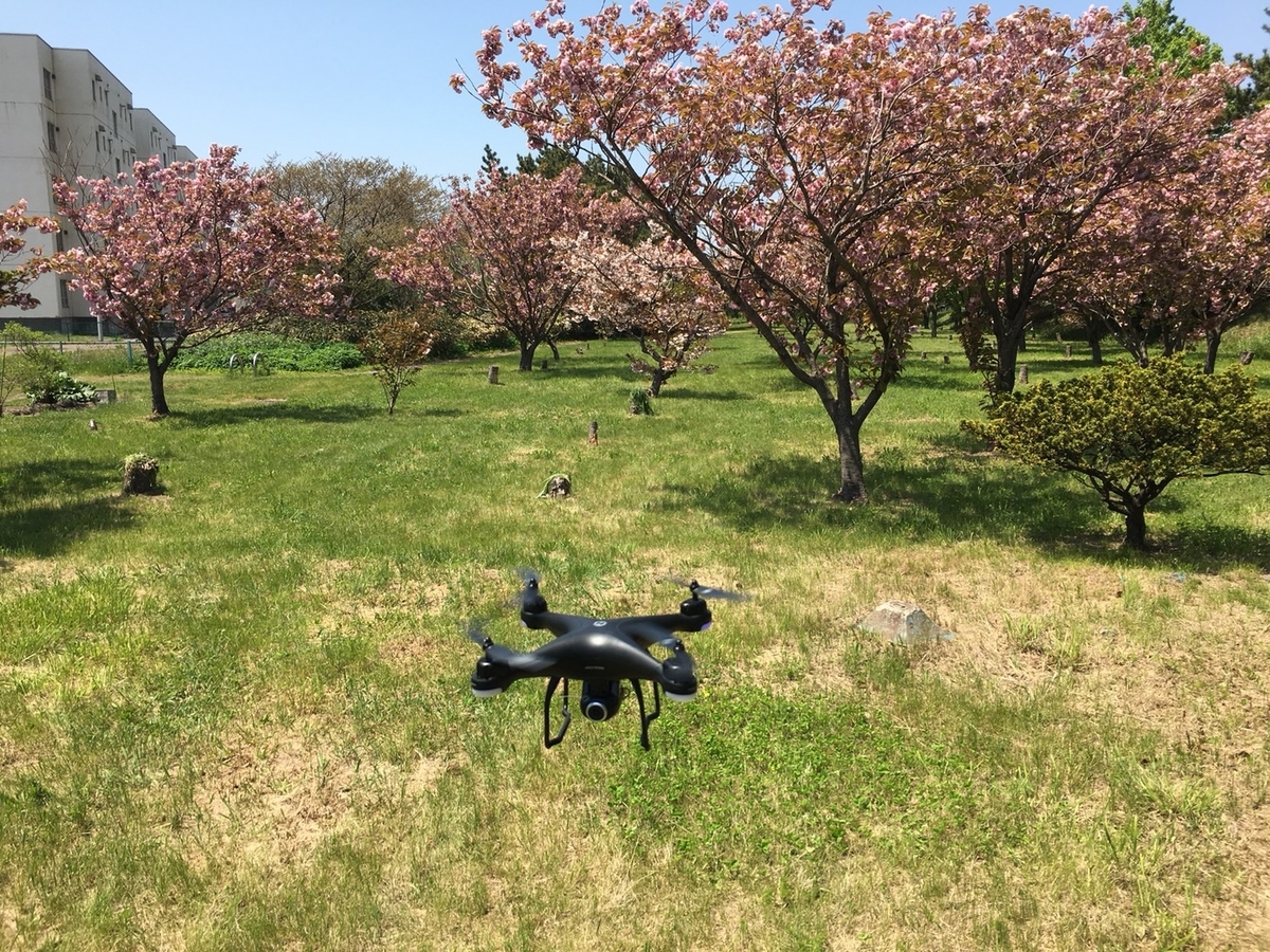 f:id:Betty0918:20190526193232j:plain f:id:Betty0918:20190526193232j:plain