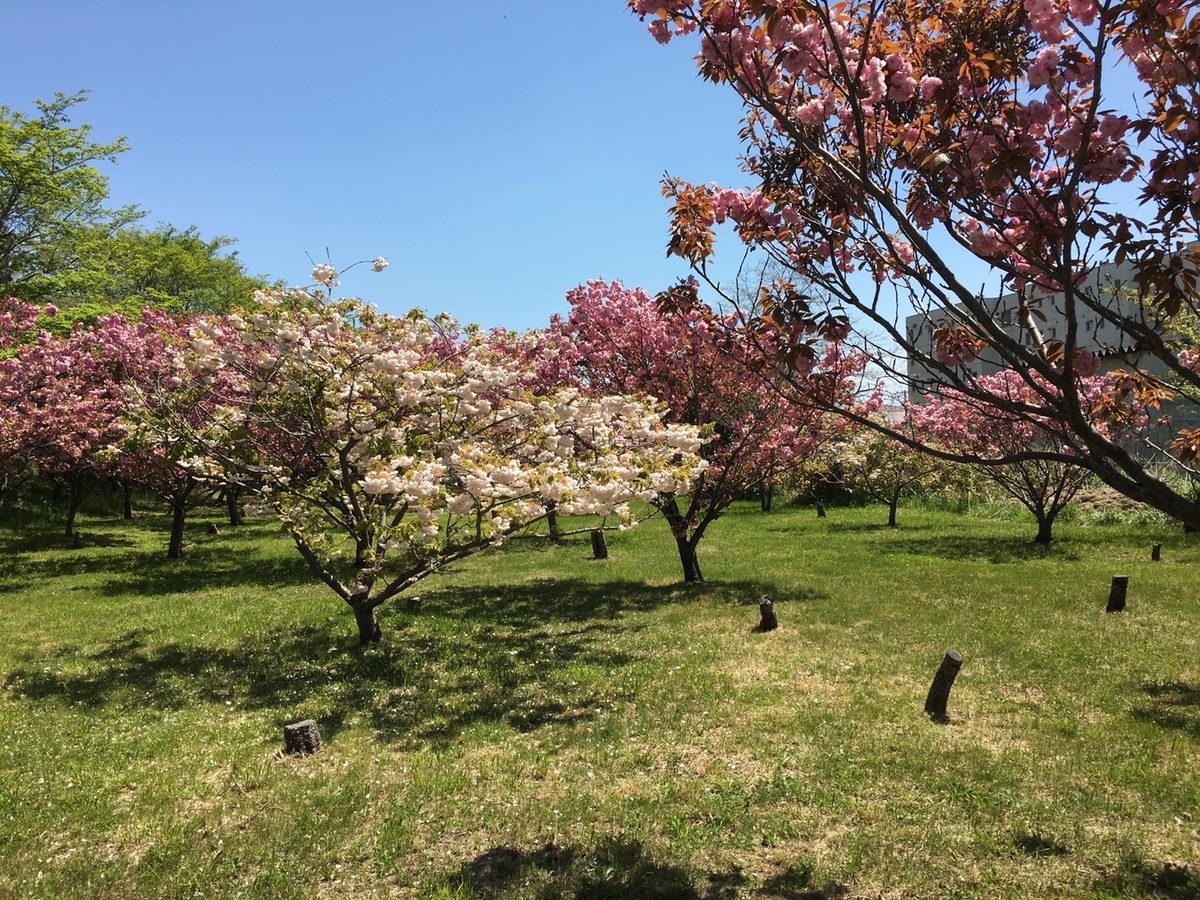 f:id:Betty0918:20190612202022j:plain f:id:Betty0918:20190612202022j:plain