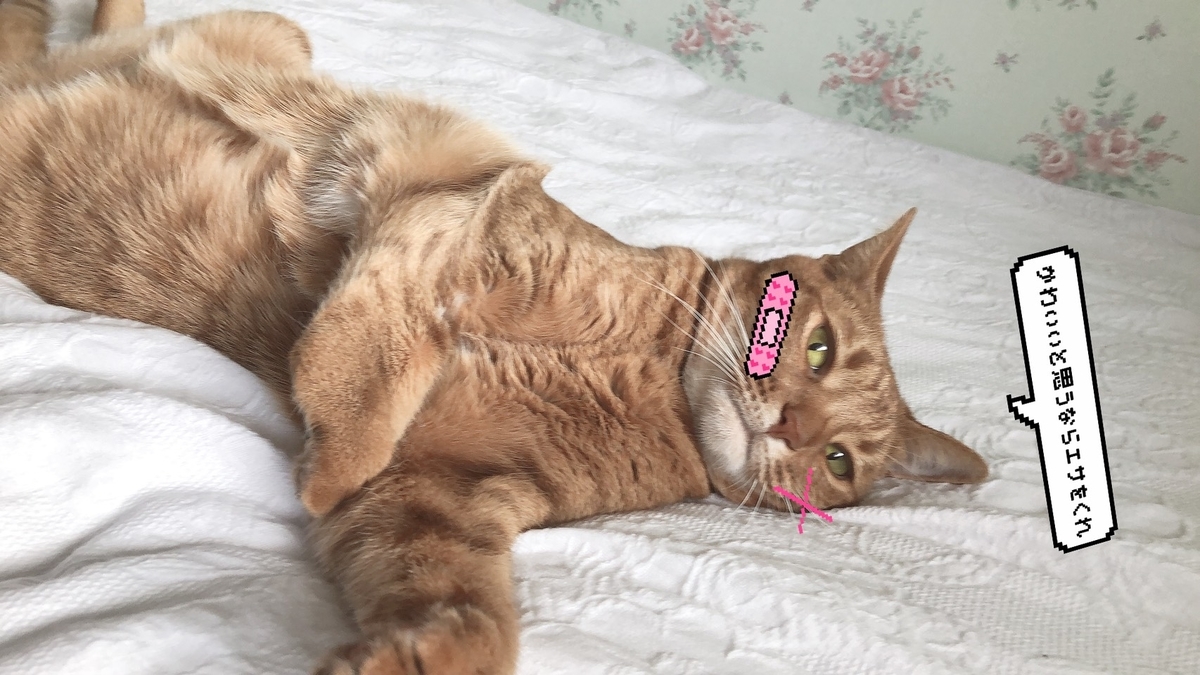 f:id:Betty0918:20190814214542j:plain