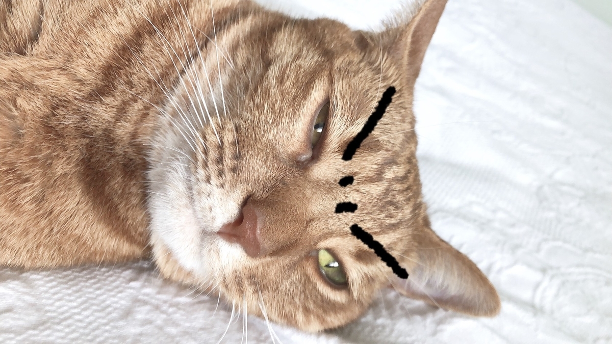 f:id:Betty0918:20190814214829j:plain