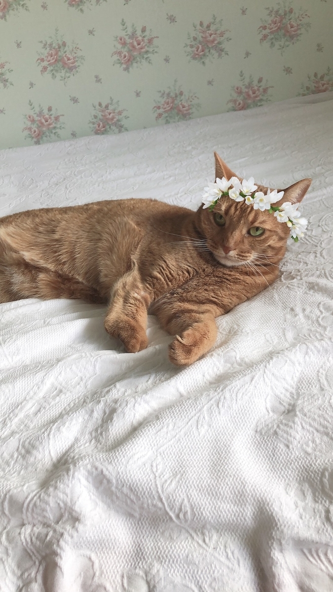 f:id:Betty0918:20190814215009j:plain