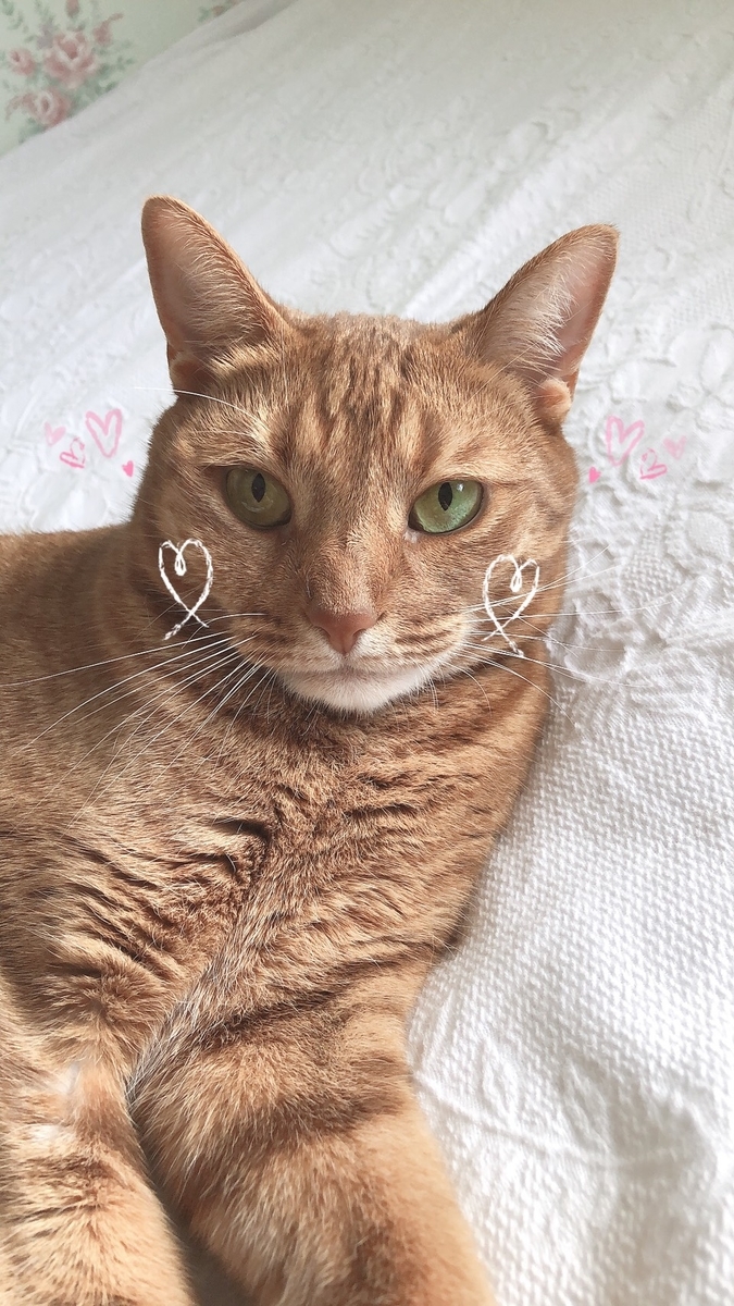 f:id:Betty0918:20190814215131j:plain