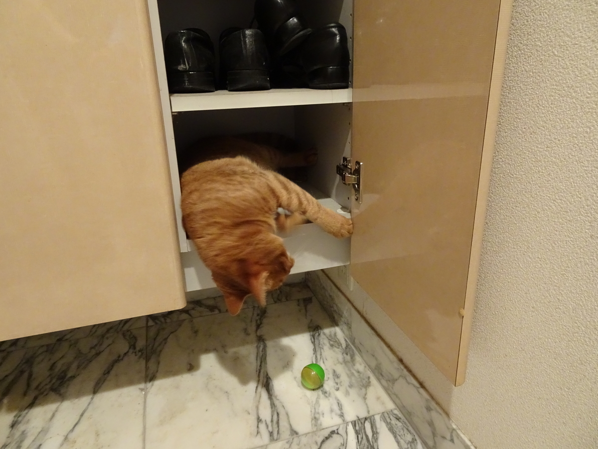 f:id:Betty0918:20190826112611j:plain