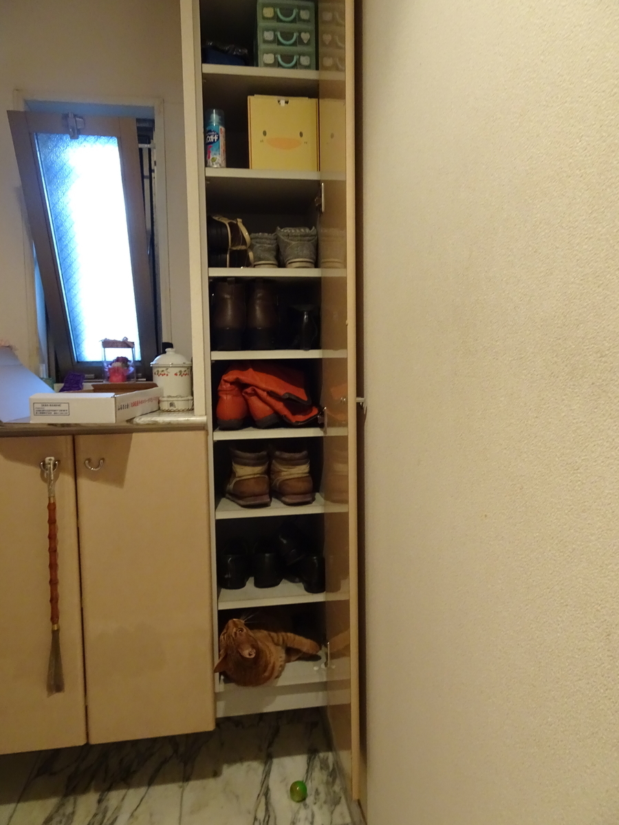 f:id:Betty0918:20190826112827j:plain