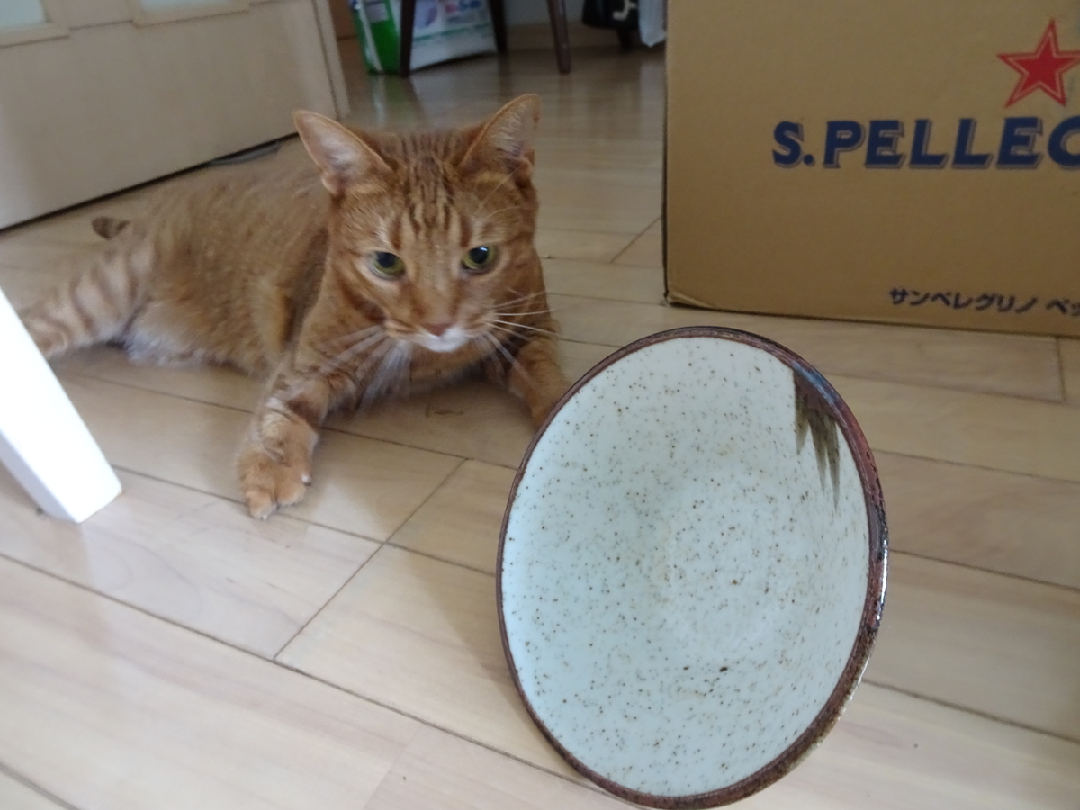 f:id:Betty0918:20190827105830j:plain f:id:Betty0918:20190827105830j:plain