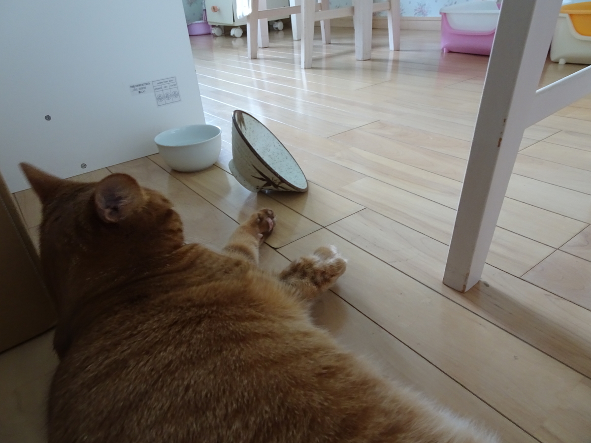 f:id:Betty0918:20190827110046j:plain f:id:Betty0918:20190827110046j:plain