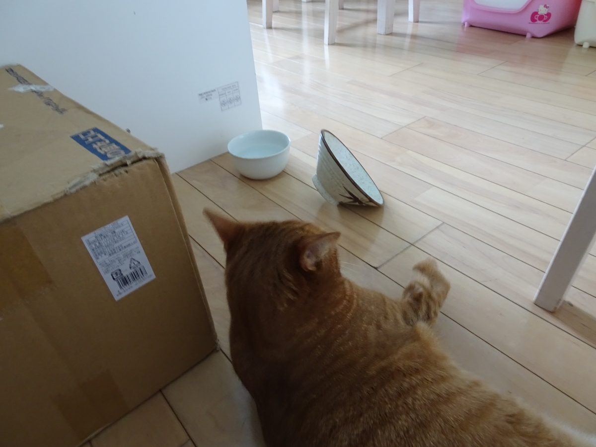 f:id:Betty0918:20190827110234j:plain f:id:Betty0918:20190827110234j:plain