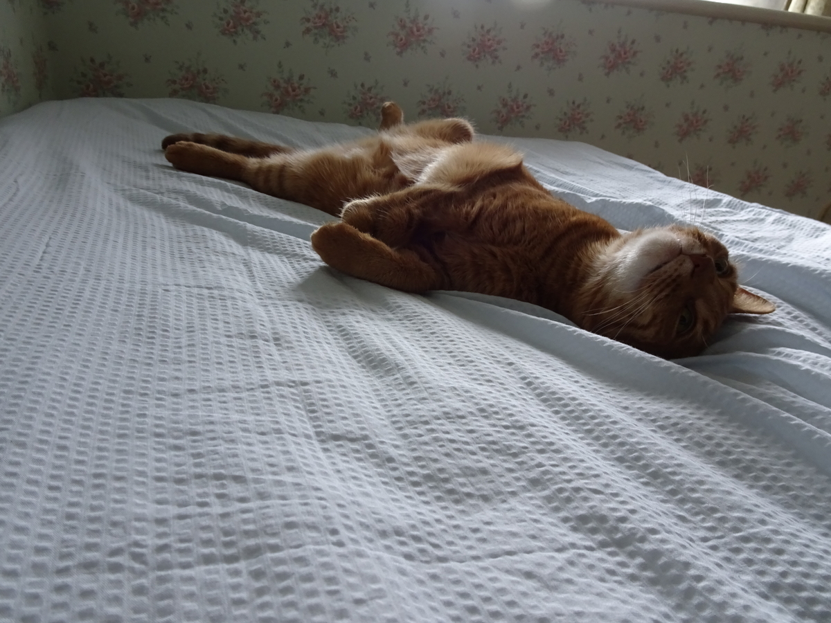 f:id:Betty0918:20190828154433j:plain