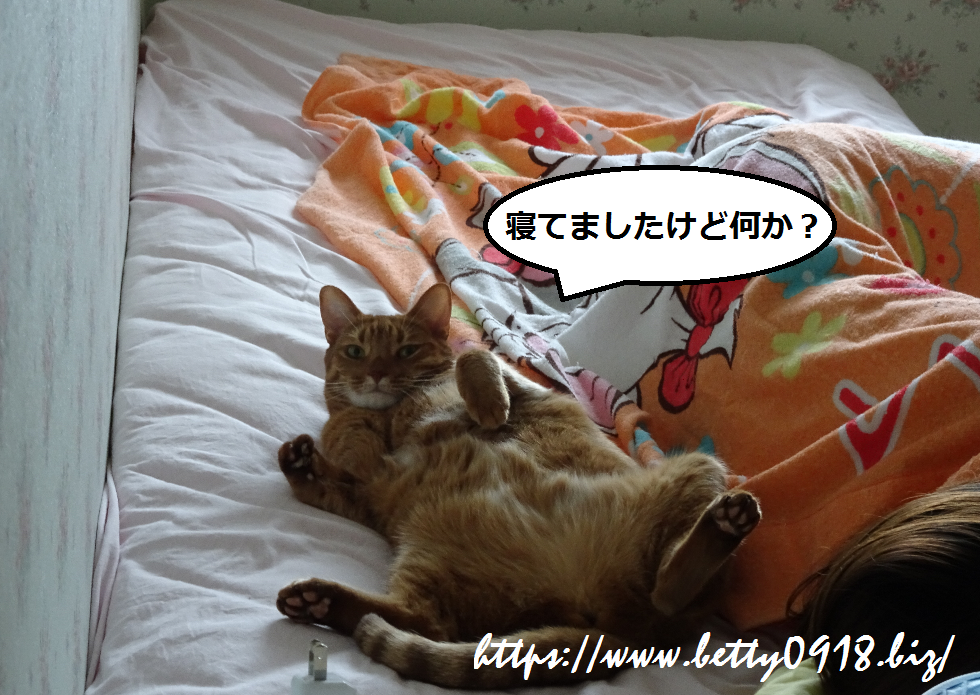 f:id:Betty0918:20190829201049p:plain
