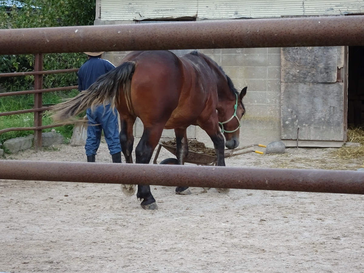 f:id:Betty0918:20190917170325j:plain